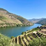Porto: Douro Valley Wine Tour with Tastings, Boat, and Lunch - Transportation and Group Dynamics