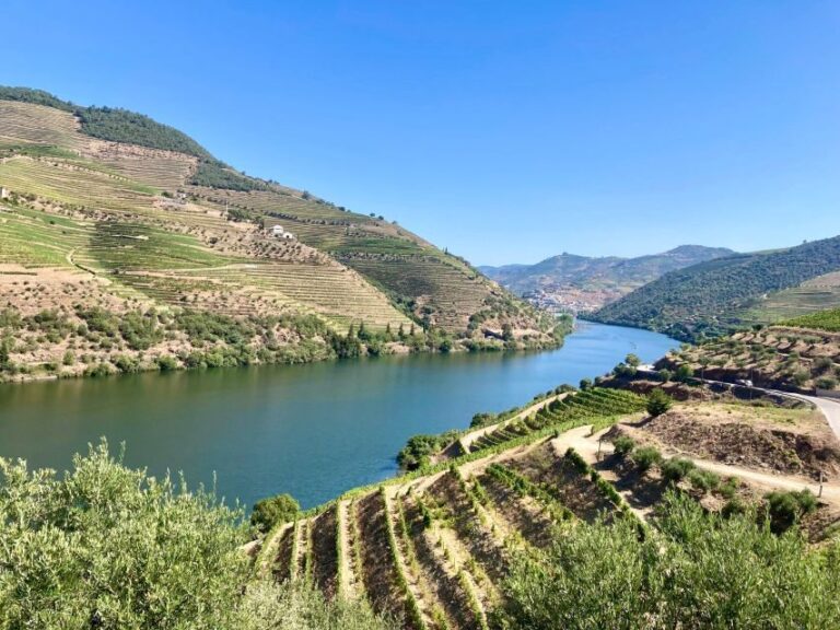 Porto: Douro Valley Wine Tour with Tastings, Boat, and Lunch - Transportation and Group Dynamics