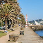 Porto-Gaia-Matosinhos: Private Half-Day Panoramic Tour - Crossing the Luiz I Bridge into Gaia