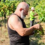 Porto: Green Wine Tasting and visit - The Value of the Tour