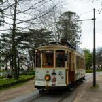 Porto Highlights and Tram - Private Tour - A Deep Dive into the Tour Experience