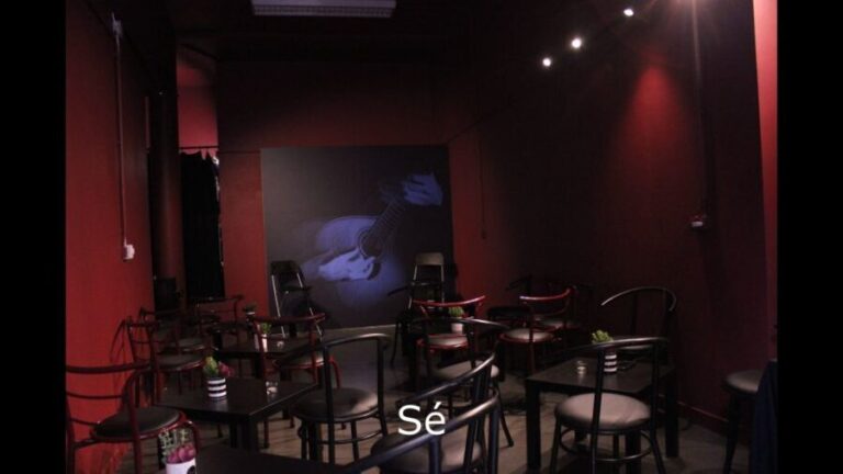 Porto: Live Fado Show with Glass of Port Wine - Who Will Love This Experience?