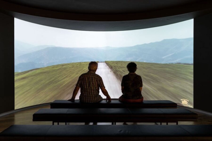 Porto: Museum of the Oldest Appellation in the World Ticket - Final Thoughts: Is It Worth It?