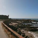 Porto + port cellar visit and tasting + sardine factory tour - Value and Practical Considerations