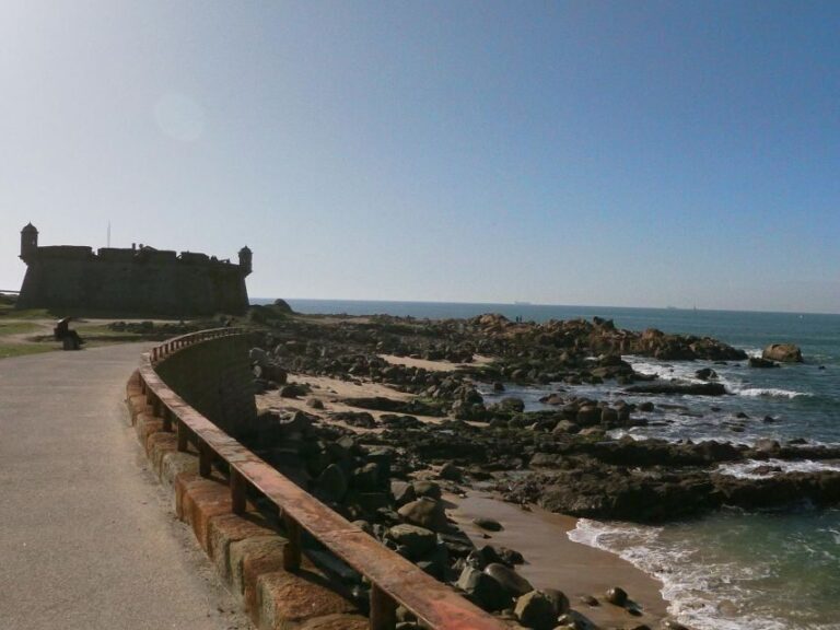 Porto + port cellar visit and tasting + sardine factory tour - Value and Practical Considerations