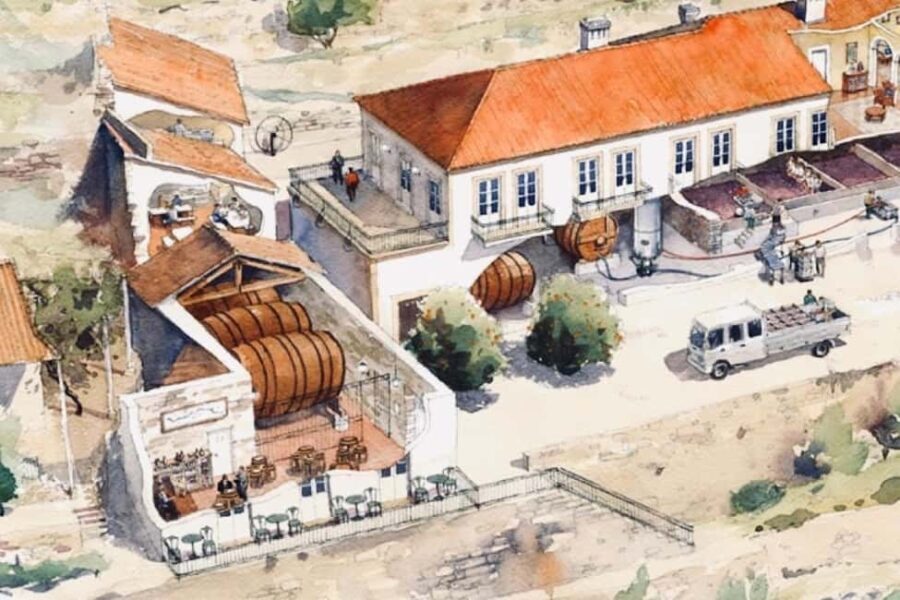 Porto: premium tasting wine tour at Fonseca cellars - An Honest Look at the Value