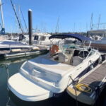 Porto: Private Cruise on Douro - up to 6 people - Itinerary Highlights and What You’ll See