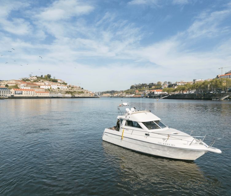Porto: Private Douro River Sunset Cruise - Final Thoughts: Is This Cruise Worth It?