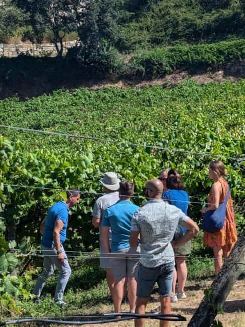 Porto: Private Douro Valley tour with lunch, wine tasting, and a cruise - 2 wineries - Detailed Breakdown of the Experience