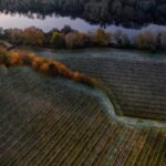 Porto: Private Green Wine Tour: Visit 2 Wine Estates & Lunch - The Sum Up