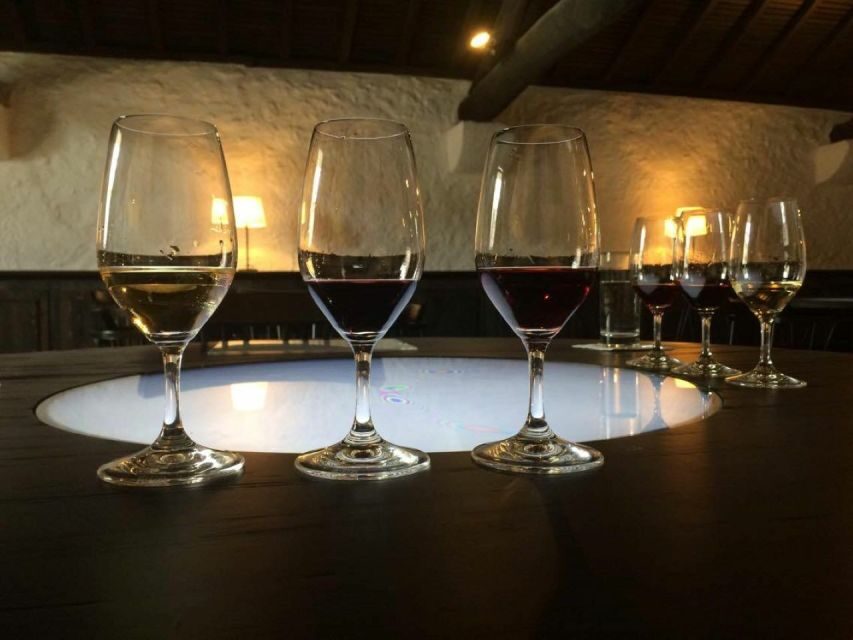Porto: Private Guided Wine-Tasting Tour - What We Love About This Tour