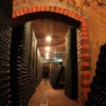 Porto: Private tour in Bairrada - From wine to suckling pig with tradition. - Authentic Insights from Reviews