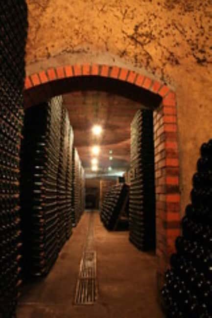 Porto: Private tour in Bairrada - From wine to suckling pig with tradition. - Authentic Insights from Reviews