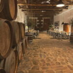 Porto: Régua Cruise with Train Ride and Wine Tasting - Practical Tips and Travel Details