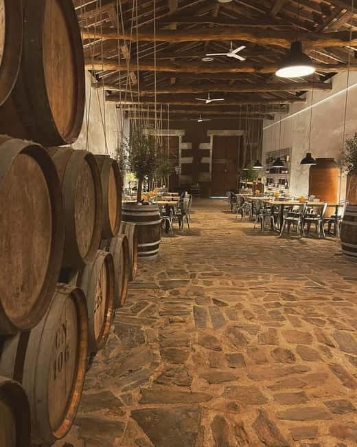 Porto: Régua Cruise with Train Ride and Wine Tasting - Practical Tips and Travel Details