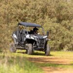Porto Santo: 180 Minutes Off-Road Buggy Tour - Analyzing the Value
