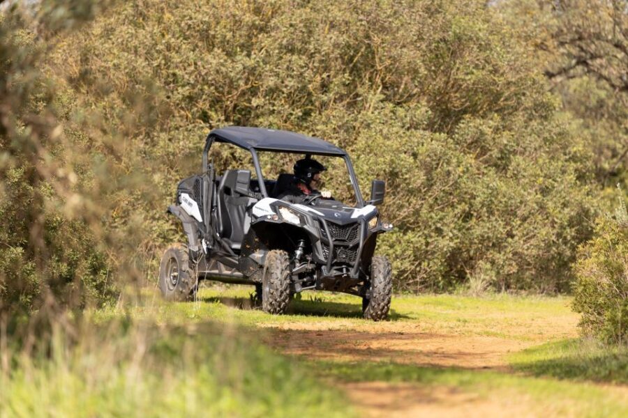 Porto Santo: 180 Minutes Off-Road Buggy Tour - Analyzing the Value