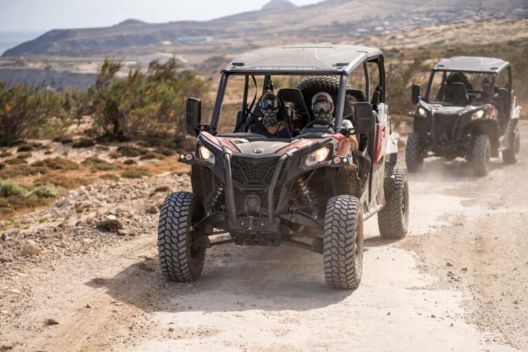 Porto Santo: 90 Minutes Off-Road Buggy Tour - Why You Should Consider This Tour