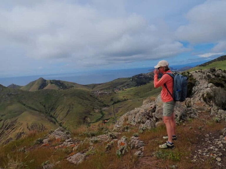 Porto Santo: Terra Chã and Pico Branco Hiking tour - Why This Tour Is a Great Choice