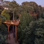 Porto: Serralves Park Entry Ticket - The Sum Up