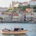 Porto: Six Bridges Douro River Cruise with Drinks - The Experience in Detail