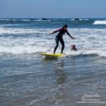 Porto: Small Group Surfing Experience with Transportation - Who Will Love This Tour?