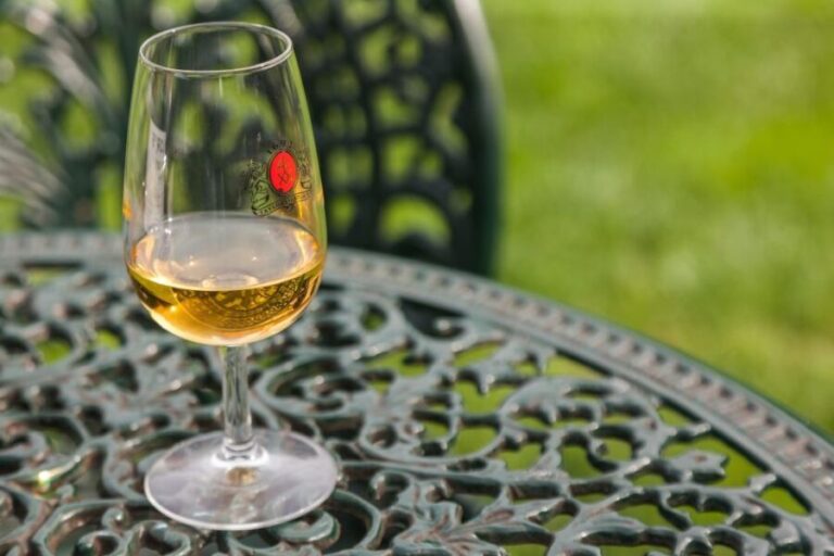 Porto: Taylors Port Cellar Tour & WOW Museum Pack - In-depth review of the Porto: Taylors Port Cellar & WOW Museum Pack