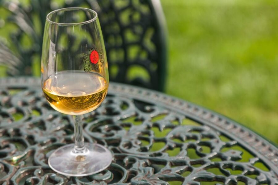 Porto: Taylors Port Cellar Tour & WOW Museum Pack - In-depth review of the Porto: Taylors Port Cellar & WOW Museum Pack