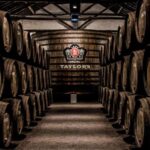 Porto: Taylor's Port Cellars & Tasting - Who Is This Tour Best Suited For?