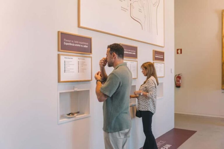 Porto: The Wine Experience, Best Wine Museum in the World - What the Reviews Say