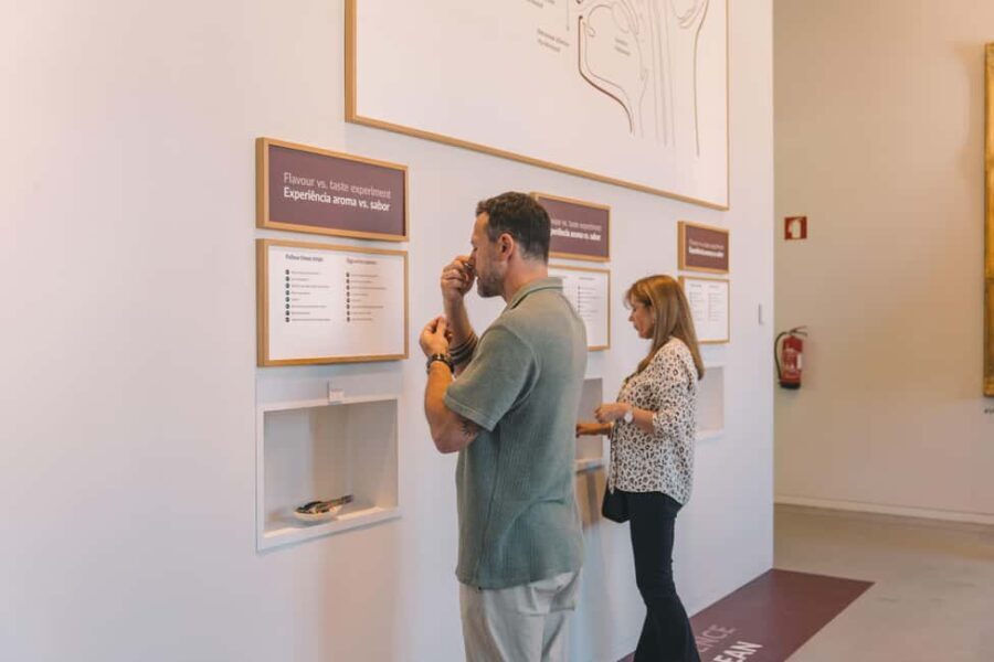 Porto: The Wine Experience, Best Wine Museum in the World - What the Reviews Say