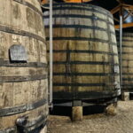 Porto to Gaia Experience: City Walk and Wine Cellars - A Step-by-Step Breakdown of the Itinerary