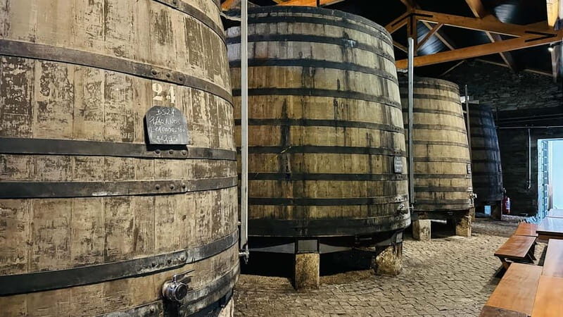 Porto to Gaia Experience: City Walk and Wine Cellars - A Step-by-Step Breakdown of the Itinerary