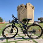 Porto Torres: rent your mountain bike to discover Asinara - Why We Think This Tour Offers Great Value