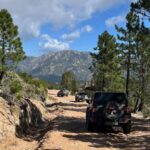 Porto Vecchio: Cuscionu Plateau & Alta Rocca 4x4 Tour - The Experience in Practice