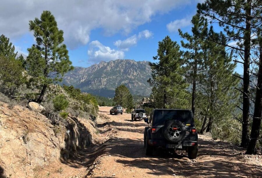 Porto Vecchio: Cuscionu Plateau & Alta Rocca 4x4 Tour - The Experience in Practice