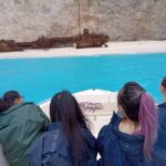 Porto Vromi: Navagio Beach & Blue Caves Private Boat Tour - What Makes This Tour Stand Out?