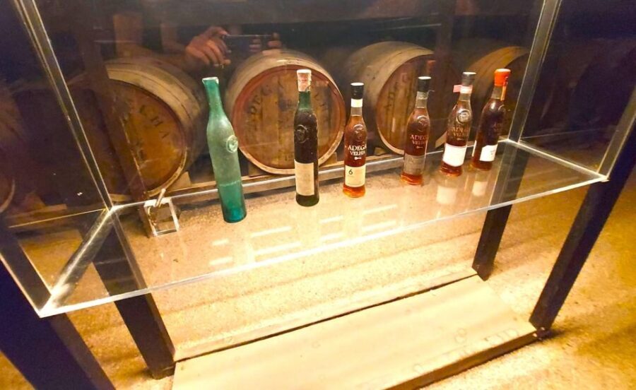 Porto: Wine Tastings (Green Wine) & Tradicional Lunch - Final Thoughts: Is It Worth It?