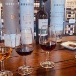 Porto wine tour - exquisite and private to Burmester Cellars - Practical Details & Tips