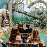 Porto: World of Discoveries Entry Ticket - Who Will Love This Experience?