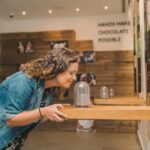 Porto: WOW Daily Ticket: Explore, taste & enjoy in 2 days - The Experience: Why It Works