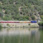 Portugal: 2 days in the Douro Valley with Harvest experience - The Sum Up