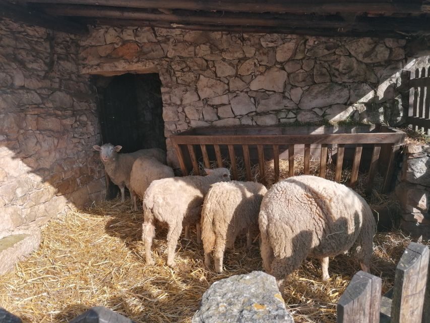 Portugal: Fatima, Aljustrel & Valinhos Trip with Picnic - The Itinerary in Detail: What to Expect