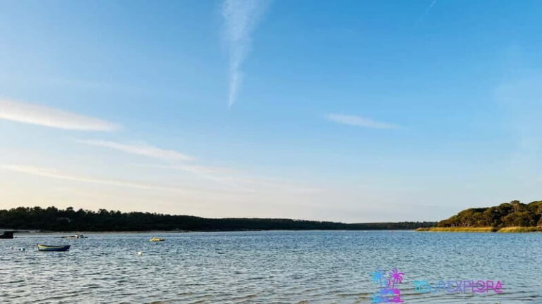 Portugal's Hidden Gems: Arrábida, C Espichel & Sesimbra Tour - Who Should Book This Tour?