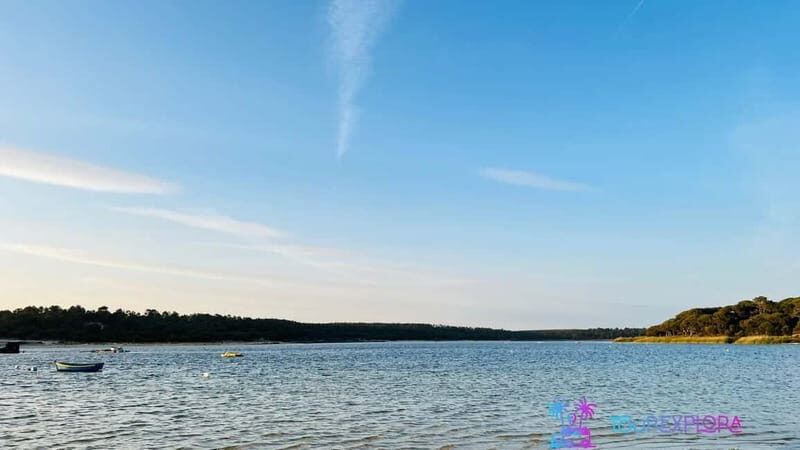 Portugal's Hidden Gems: Arrábida, C Espichel & Sesimbra Tour - Who Should Book This Tour?