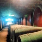 Portuguese Wine History & Amazing Landscape - The Authentic Value of This Experience