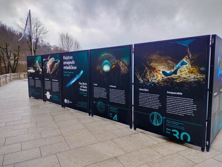 Postojna cave day tour from Ljubljana - Final Thoughts