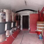 Pozzolengo: Vineyard tour and tasting of typical Garda wines - The Tasting Experience: Wines and Local Flavors