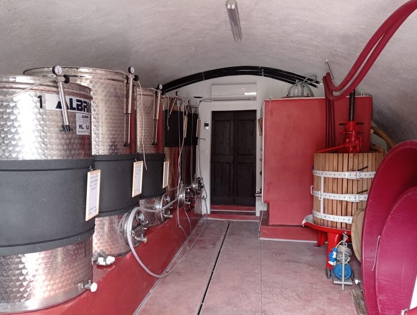 Pozzolengo: Vineyard tour and tasting of typical Garda wines - The Tasting Experience: Wines and Local Flavors