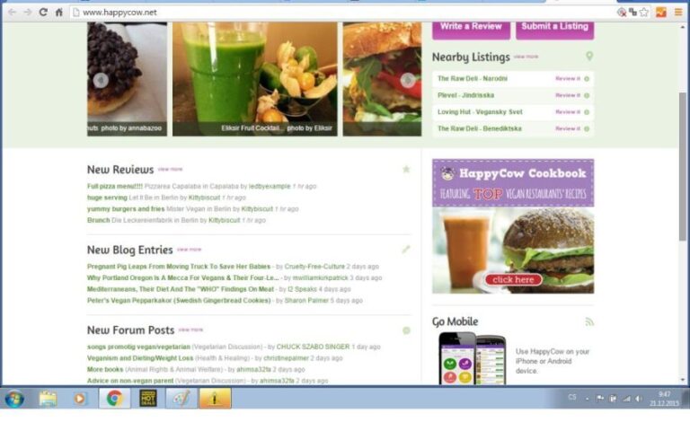 Prague: 4-Hour Vegetarian Food & History Tour - Who Should Consider This Tour?